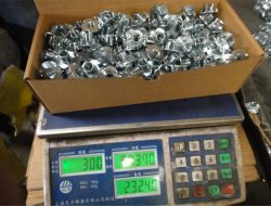 Фабрички поглед