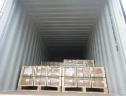 Фабрички поглед